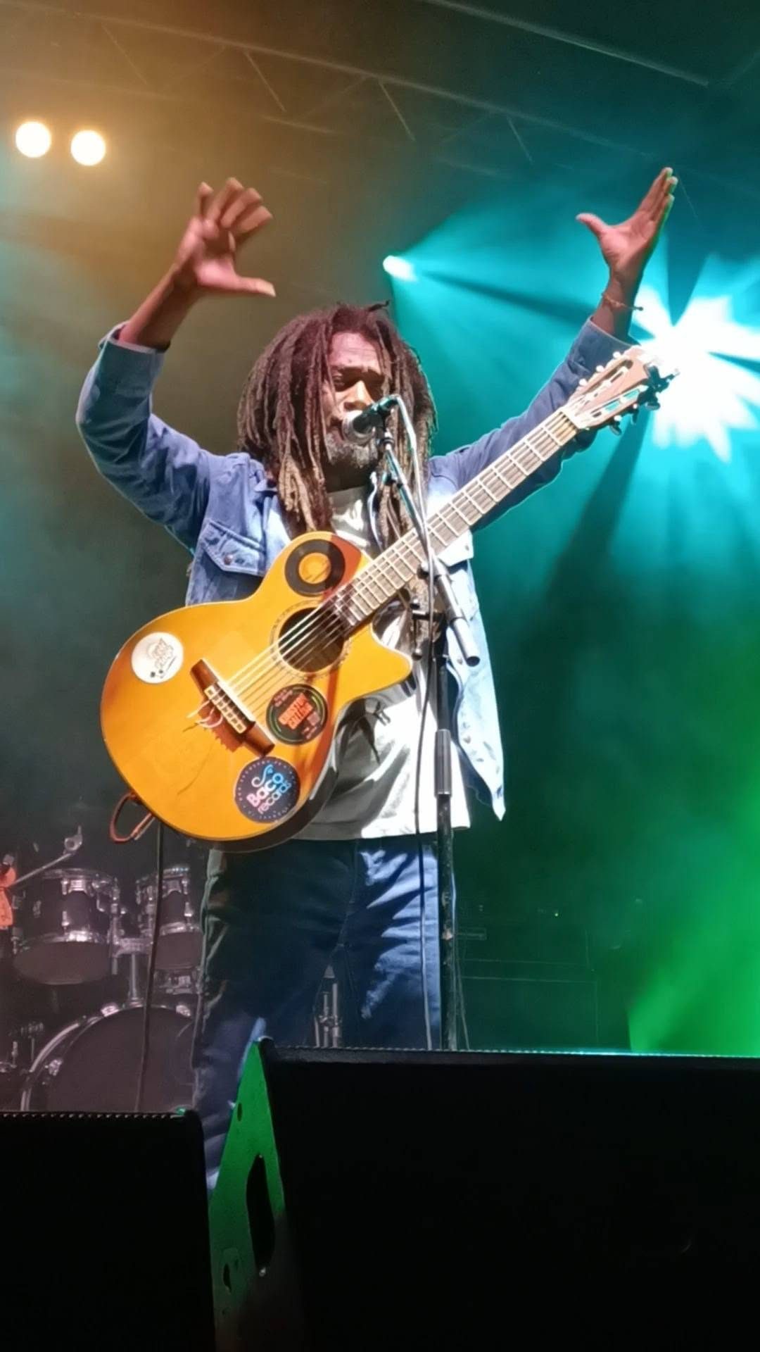 Le chanteur-guitariste de Kingston Calling, bras levé, sous une lumière verte, tournée 2026